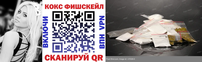 ссылка на мегу ссылка  купить наркотик  дарк нет состав  КОКАИН FishScale  Гатчина 