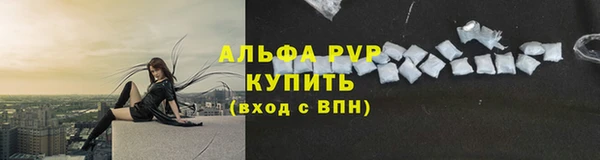 СК Щигры