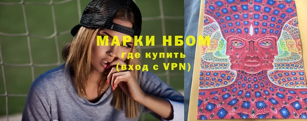 стафф Ельня
