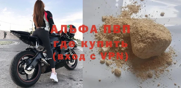 стафф Ельня