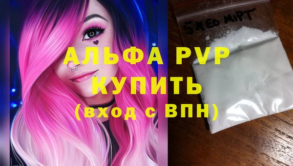 индика Дмитров