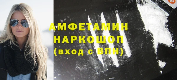 индика Дмитров