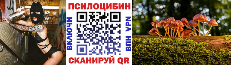 Псилоцибиновые грибы Psilocybine cubensis  купить наркотик  блэк спрут ONION  Гатчина 