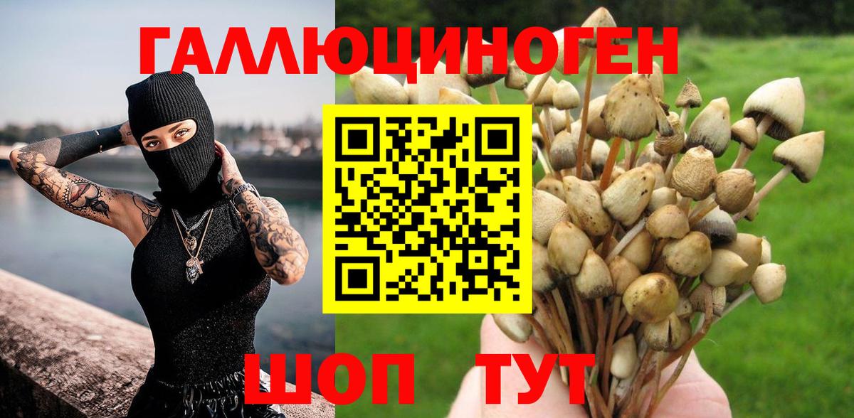 Псилоцибиновые грибы мицелий  Вход с VPN  Гатчина  Псилоцибиновые грибы прущие грибы 