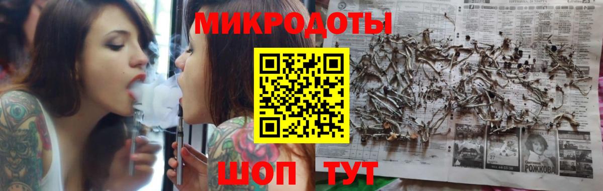 Псилоцибиновые грибы Psilocybine cubensis Гатчина